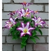 Искусственные цветы Лилия 7 голов 58 см ю-ну1222