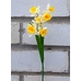 Искусственные цветы букет Нарцисс 31 см 6 голов ю-2502-2