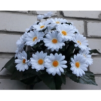 Искусственные цветы Ромашка белая 24 головы ю-2252