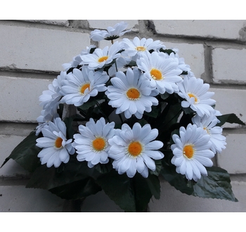 Искусственные цветы Ромашка белая 24 головы ю-2252