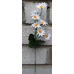 Искусственные цветы Ромашка веточкой в двух цветах 7 голов 40 см ю-1970
