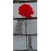 Искусственные цветы Гвоздика Одиночная цветная 32 см ю-1055
